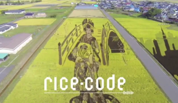 戛纳金狮奖案例，可扫码稻田绘画提升销量与知名度