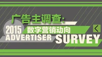 华扬数字营销研究院：《广告主调查：2015数字营销动向》