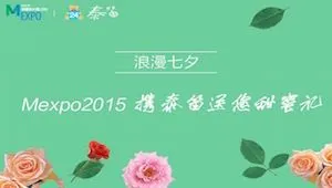 梅花网：浪漫七夕，Mexpo2015携泰笛送您甜蜜礼