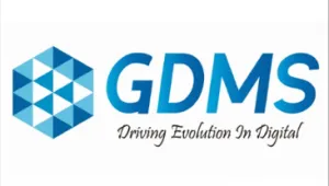 胖鲸智库携手GDMS全球数字营销峰会，八折福利，报名倒计时中