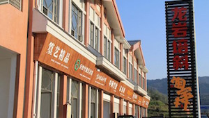 阿里研究院：全国淘宝村达到780个，同比增长268%