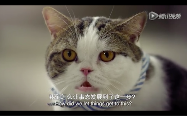 Screen Shot 2016-01-14 at 下午4.54.34.png