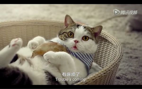 Screen Shot 2016-01-14 at 下午4.54.51.png