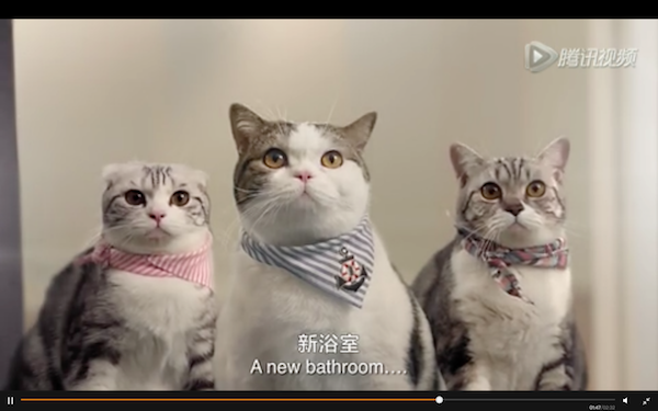 Screen Shot 2016-01-14 at 下午4.55.37 1.png
