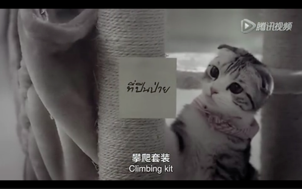 Screen Shot 2016-01-14 at 下午4.55.56.png