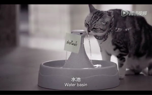 Screen Shot 2016-01-14 at 下午4.56.00.png