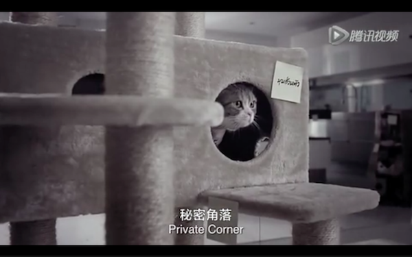 Screen Shot 2016-01-14 at 下午4.56.03.png
