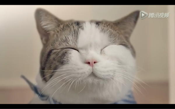 Screen Shot 2016-01-14 at 下午4.56.12.png