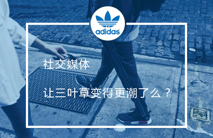 社交媒体让三叶草变得更潮了吗？