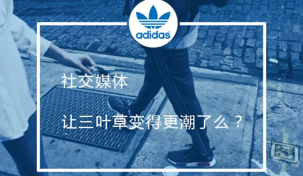 社交媒体让三叶草变得更潮了吗？