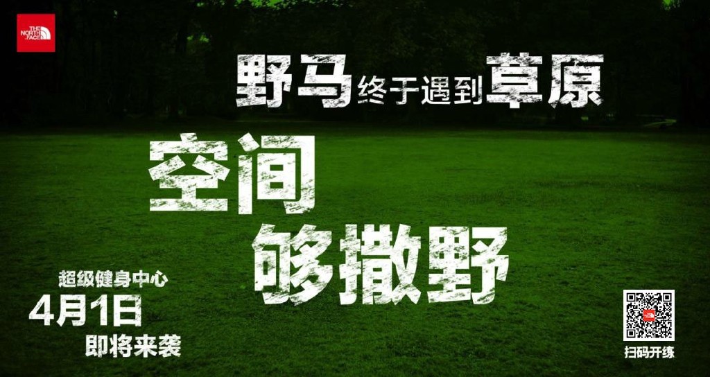 North Face 06