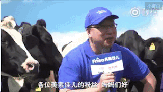 12-美素佳儿