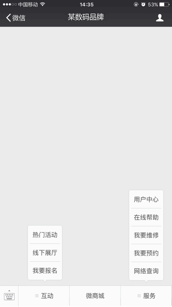 图3 某知名数码品牌微信前端图
