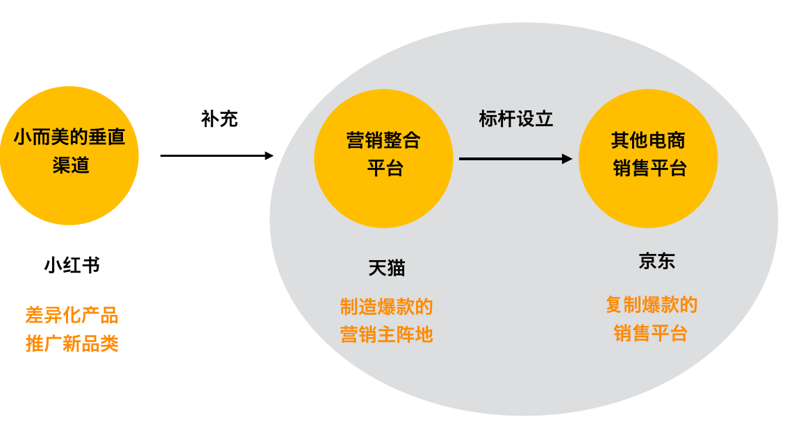 狮王电商渠道矩阵,建立电商矩阵,有重点、有分类的打造产品