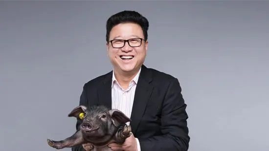就是不走寻常路，网易考拉“毒营销”双十一营销复盘