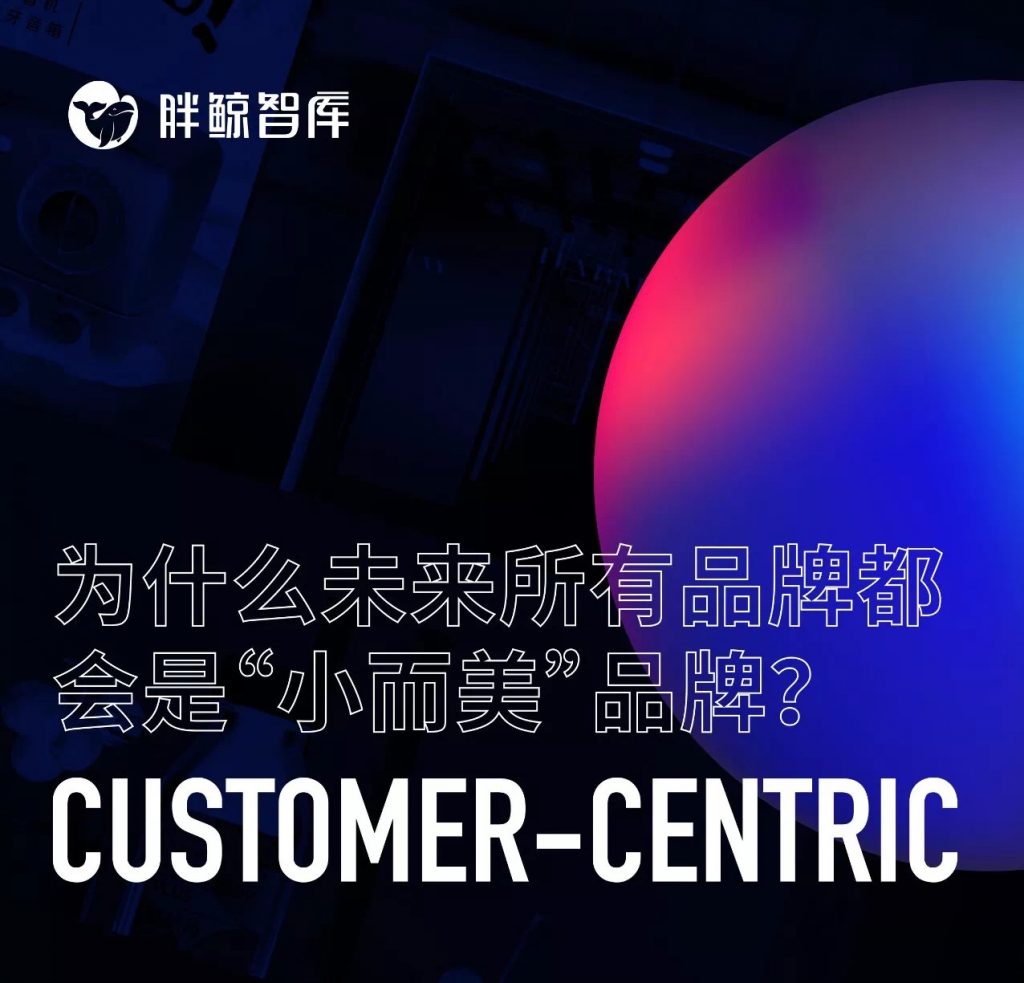 为什么未来所有品牌都会是“小而美”品牌？