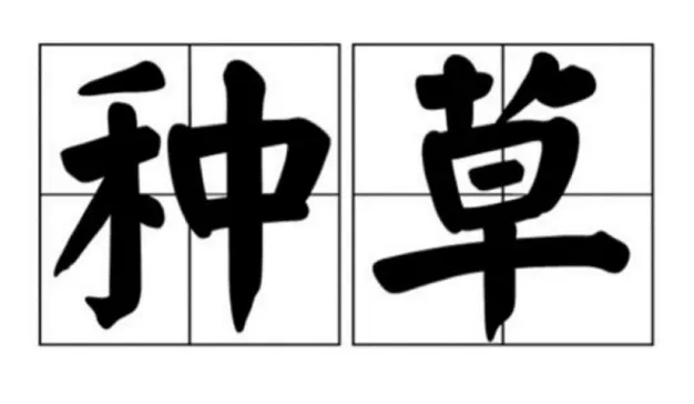 传统大牌霸主地位不保？谁动了他们的奶酪？
