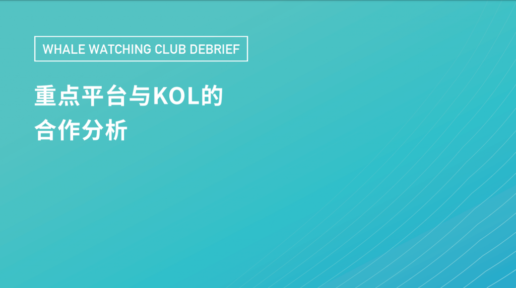 品牌如何利用重点平台与KOL合作