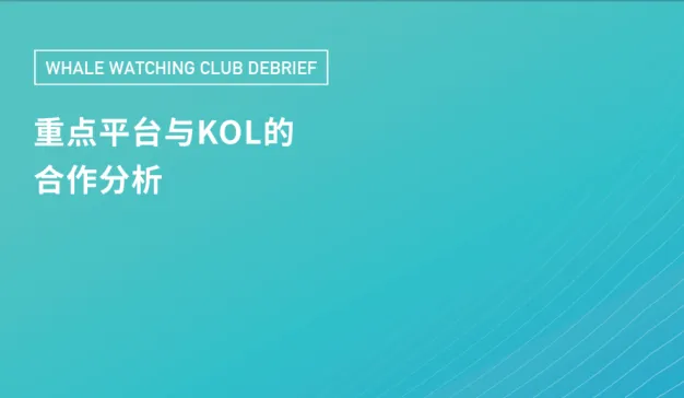 品牌如何利用重点平台与KOL合作
