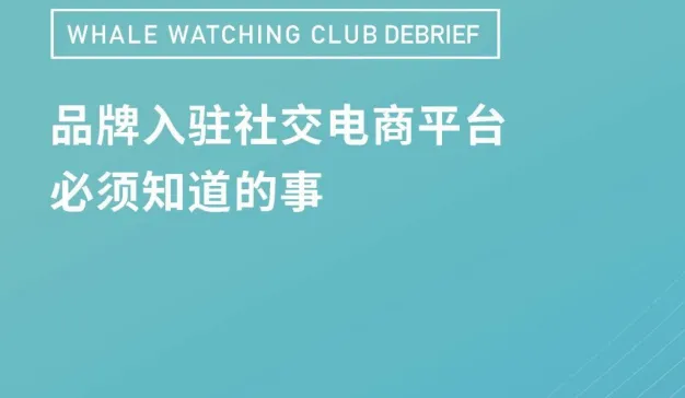 品牌入驻社交电商平台必须知道的事