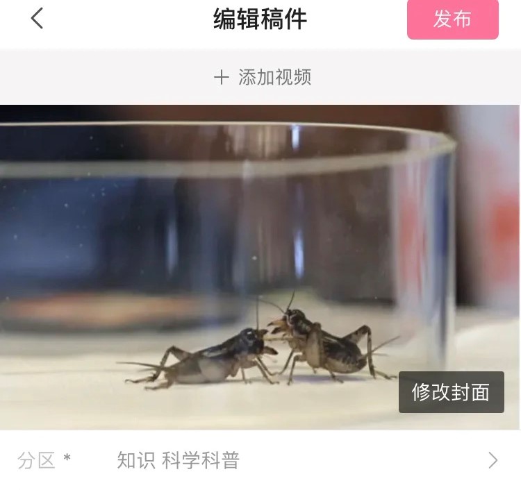 “虫类”封面失去推荐资格  B站社区氛围面临打破重构