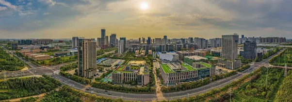 蔚来、大众、国轩高科，合肥在下一盘什么样的大棋？