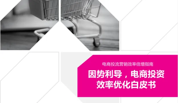 《因势利导，电商投资 效率优化白皮书》助力品牌实现电商营销与营收效益的最大化