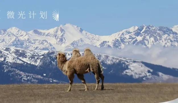 从大都会到牧场，这群人说商业是最大的慈善｜对话丰草牧场
